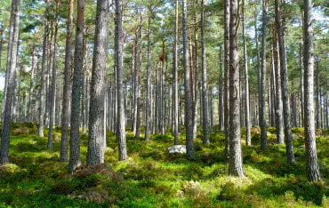 Czyste Powietrze 2024: Nowe zasady, wyższe dofinansowania!